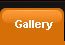 Jewel funcasionos Gallery